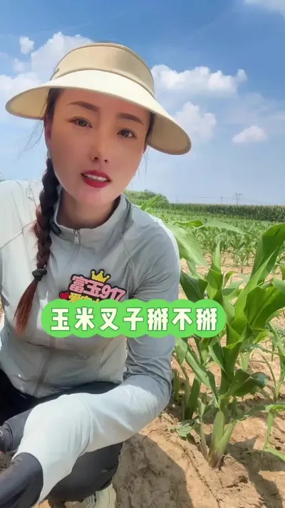 玉米叉子掰不掰 不掰，就不白，热死了#玉米叉子到底掰不掰 #玉米高产种植技术 #三农 #富玉917 #抖音新农人