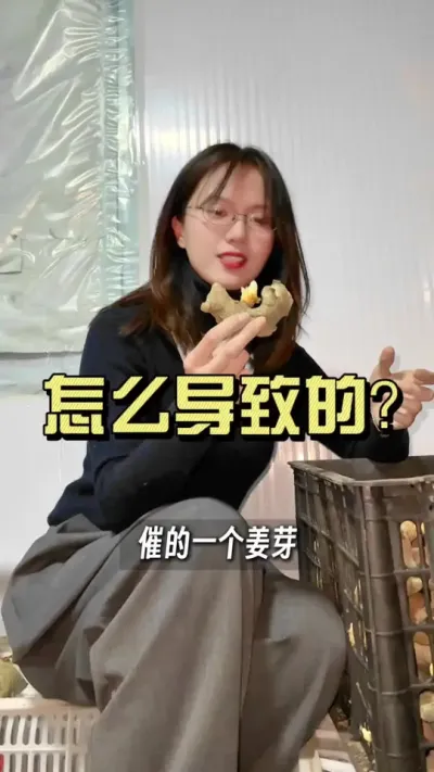 催芽出现这种情况，大家知道怎么回事吗？#抖音助农扶农 #乡村生活家 #大姜种植 #新农人计划2025