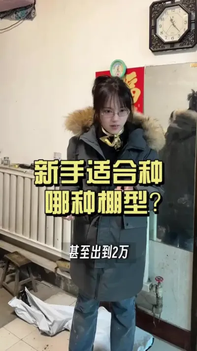 为什么不推荐新手种6米棚？#新农人计划2025 #乡村守护人 #大姜种植  #来抖音学农技