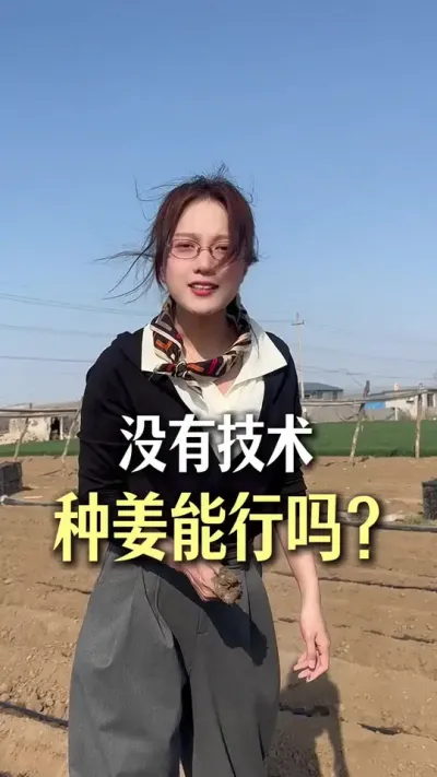 种姜不懂技术能行吗？#抖音助农扶农 #大姜种植 #乡村生活家 #新农人计划2025