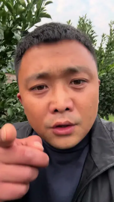 不要盲目选择新品种，一定要慎重，坑太多#关注我每天为你分享更多农业知识 #柑橘种植 #说点大实话 #主打的就是一个真实