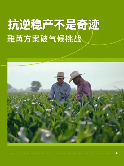 抗逆稳产不是奇迹，雅苒方案破气候挑战 #雅苒国际 #肥料 #农业种植 #复合肥 #水溶肥