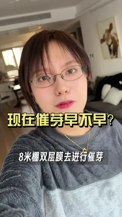 现在催芽早不早？#新农人计划2025 #抖音助农扶农 #大姜种植 #乡村生活家 #来抖音学农技