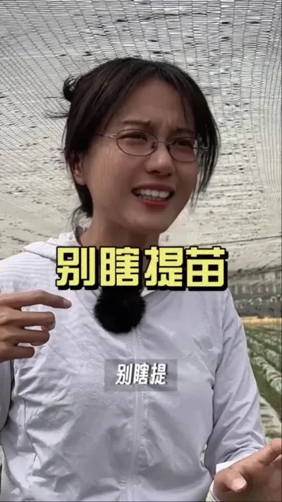 苗子可不能乱提#来抖音学农技 #大姜种植 #乡村守护人 #新农人计划2025
