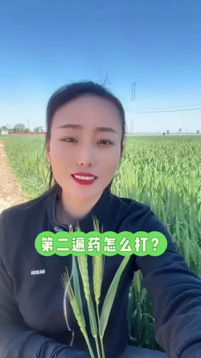 第二遍药啥时候打最合适？ 每次管理都有投资，咱们打对时候，打对药剂！#服务三农支持三农 #抖音助农 #分享农业知识帮农民增产增收 #三农 #支持三农扶持三农发展