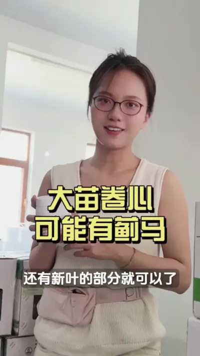 叶子卷心以为是管理问题？其实你看看这里就知道咋回事了&hellip;&hellip;#新农人计划2025 #乡村守护人 #大姜种植 #来抖音学农技
