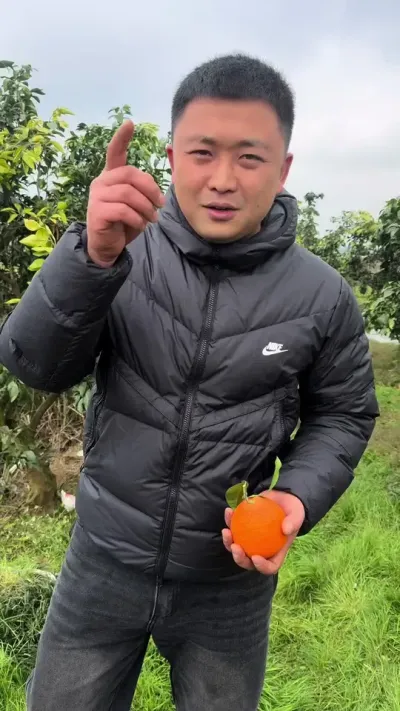 把爱媛丢了#关注我每天为你分享更多农业知识 #柑橘种植 #果农不易