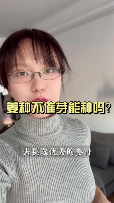 都2025年了，还有人还觉得不催芽就能种？#新农人计划2024 #乡村生活家 #大姜种植 #来抖音学农技