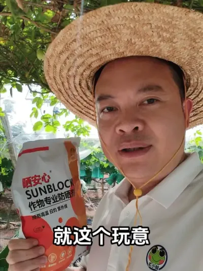 韩国进口晒安心，抵御高温日灼果、太阳果、叶片灼伤。 #柑橘种植 #韩国进口晒安心 #日灼果 #太阳果