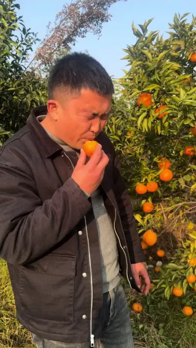 广大消费者不要被有些别有用心的人带偏了#关注我每天为你分享更多农业知识 #说点大实话 #柑橘种植