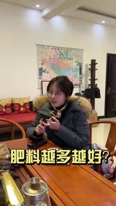 用肥施肥真的就是大力出奇迹吗？ #新农人计划2025 #种植 #生姜