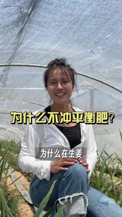 为什么这个时候不能冲平衡肥？#新农人计划2025 #来抖音学农技 #乡村生活家 #扶农助农 #大姜种植