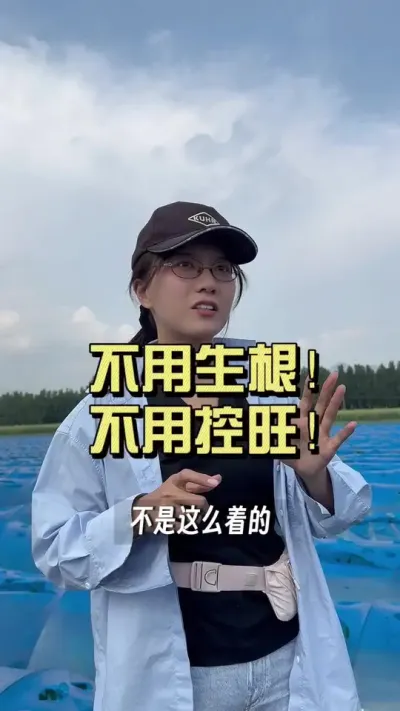 姜这一辈子，一不用生根，二不用控旺。不是说冲上生根剂就能长姜了，这是两码事。#新农人计划2025 #乡村守护人 #大姜种植 #来抖音学农技