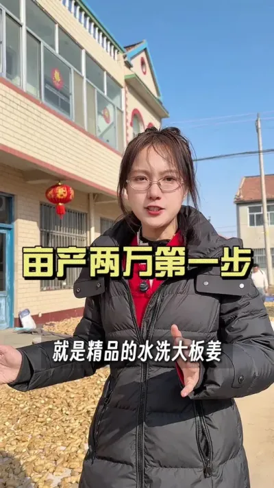 大姜亩产两万的第一步是这个？#抖音助农扶农 #乡村生活家 #大姜种植 #新农人计划2025 #来抖音学农技