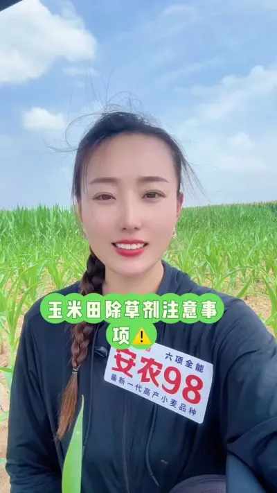 玉米田除草剂注意事项⚠️ 要想小草死的早，就给小草洗洗澡，加大水量药量不便，效果更好#玉米除草 #三农 #安农98 #玉米高产种植技术