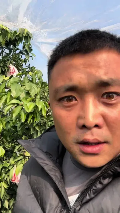 你们该丢就丢了，不要等我#关注我每天为你分享更多农业知识 #说点大实话 #柑橘种植 #三农