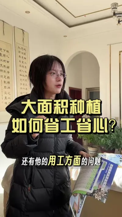 大面积种姜为啥产量上不去？#新农人计划2025 #来抖音学农技 #乡村守护人 #大姜种植