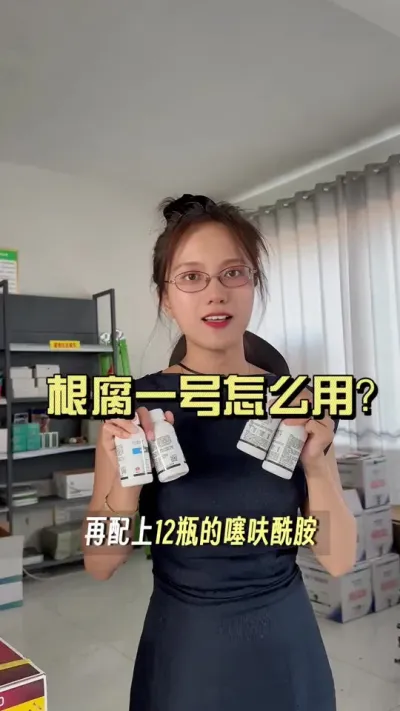 近期的高温高湿，不少地区都频发根腐、死棵，马上就要小培了，咱们一定要提前预防起来，防止小培后大面积死棵情况。#新农人计划2025 #大姜种植 #乡村守护人 #来抖音学农技