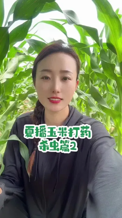 夏播玉米打药，杀虫篇2 方法不对，打药白费！#农业种植 #三农 #抖音新农人 #服务三农支持三农 #原创视频
