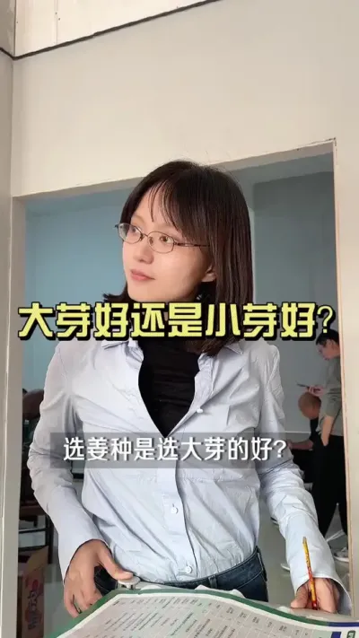 姜种应该选大芽还是小芽？#新农人计划2024 #大姜种植 #乡村生活家 #来抖音学农技