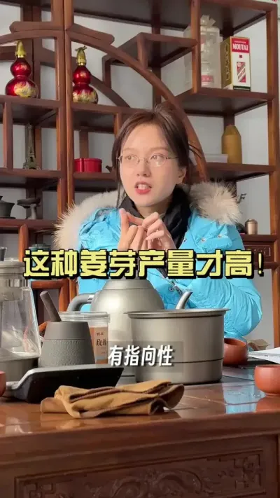 姜芽催不好，产量高不了，看看你催的姜芽有没有这种问题？#乡村生活家 #抖音助农扶农 #新农人计划2025 #大姜种植
