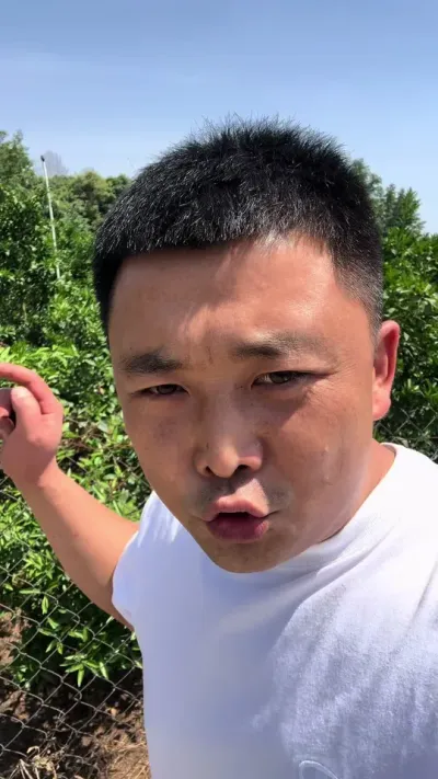 果园管理费该不该交，管理的哪些东西#三农 #柑橘种植 #说点大实话