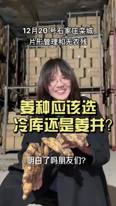 冷库和姜井姜，哪种更适合调姜种？#新农人计划2024 #大姜种植 #乡村生活家 #来抖音学农技