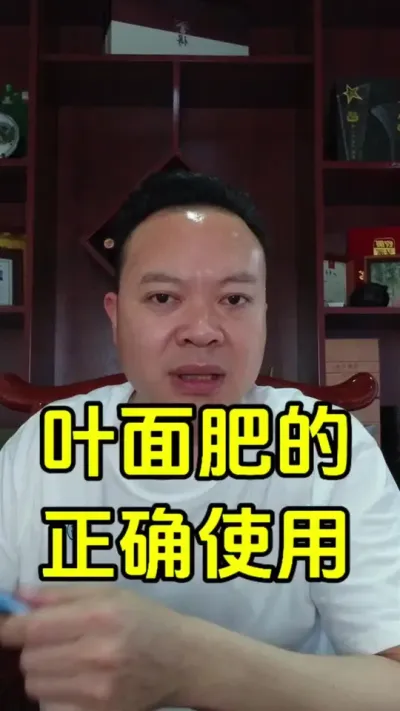 为何要用叶面肥，叶面肥有哪些种类，如何正确的使用叶面肥，三点讲明白。#叶面肥 #肥料 #种植小技巧 #农民