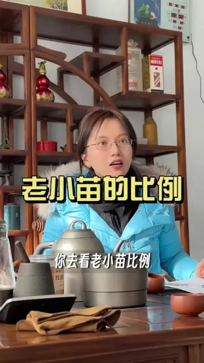 老小苗的比例！#新农人计划2025 #乡村生活家 #大姜种植 #抖音助农扶农 #来抖音学农技