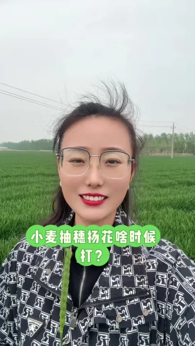 小麦抽穗扬花啥时候打药？ 小麦抽穗扬花期套餐  目的：防病防虫防早衰    打药时机：全田抽穗百分之七十到八十，如果阴雨连绵，雨前见穗就打，雨后补打杀菌剂  建议用药：丙硫菌唑，戊唑醇，吡唑米菌酯，氰