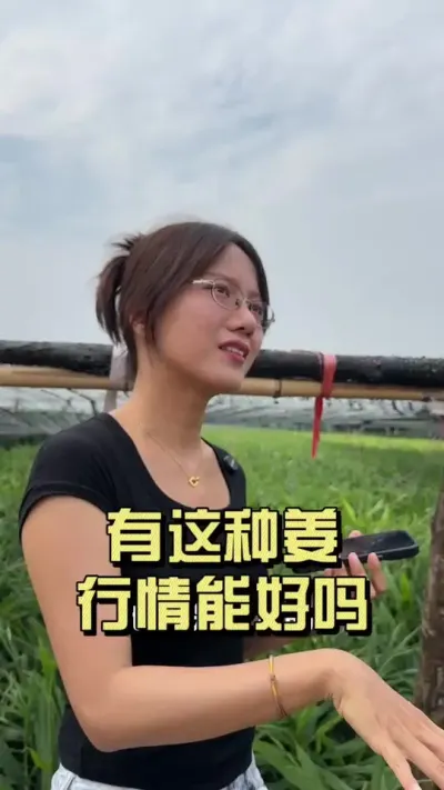 有这样的姜，行情能好起来吗？#新农人计划2025 #来抖音学农技 #乡村守护人 #大姜种植 #三农