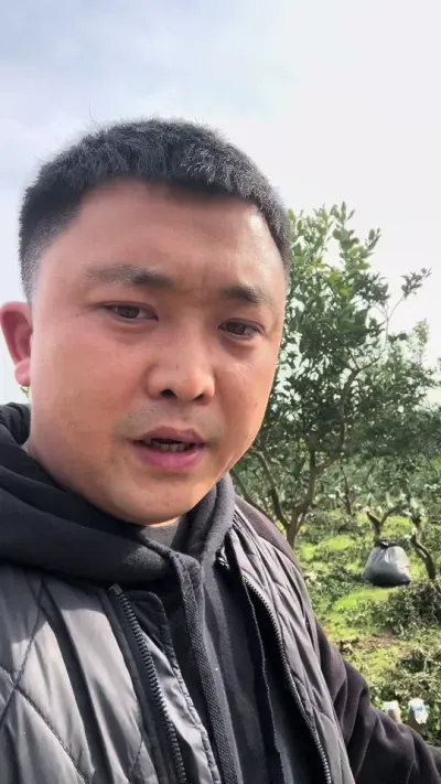 有理有据才能站得住脚#柑橘种植 #关注我每天为你分享更多农业知识 #果农不易 #说点大实话