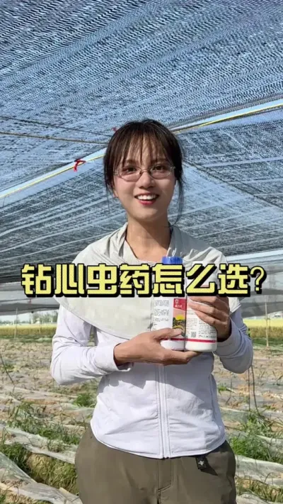 钻心虫药应该怎么选？#新农人计划2025 #来抖音学农技 #扶农助农 #乡村生活家