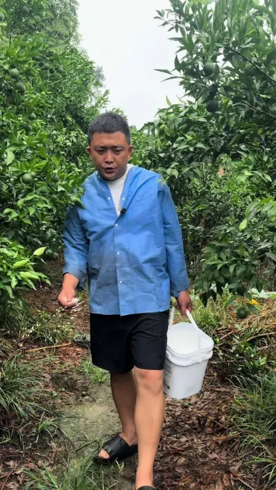 缓释颗粒硼 库房到期亏本处理 先到先得 20斤一桶#三农 #三农种植 #颗粒硼#好物推荐🔥