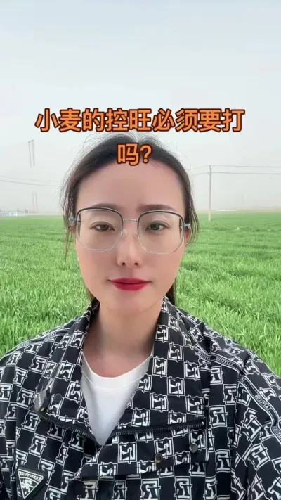 小麦必须要控旺吗 控旺打不好了对产量影响还是挺大的，其实我们日常管理就可以避免去打，比如我们播种量不要太大，因为太稠了基本上都要控旺，还有拔节初起控控水肥，缩短底部节尖，很多方式，种地不要为了去干啥而