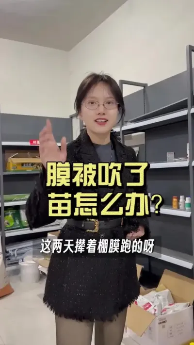 膜被吹了、闪着苗了，需要处理吗？#新农人计划2025 #抖音助农扶农 #大姜种植 #乡村生活家
