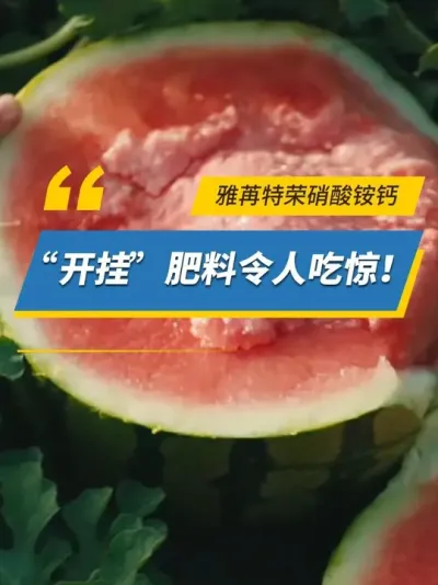 雅苒特荣硝酸铵钙，&ldquo;开挂&rdquo;肥料令人吃惊！ #雅苒国际 #肥料 #农业种植 #钙肥 #雅苒特荣硝酸铵钙