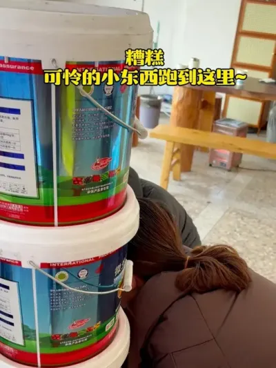 有没有好心人看上愿意收留一下？ #农资化肥#曲靖化肥 #曲靖肥金露农业 #农业 #微生物菌剂