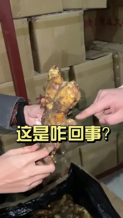 水肥用不对，不光影响姜的产量，还影响质量，姜也存不住！#新农人计划2026 #来抖音学农技 #乡村守护人 #大姜种植