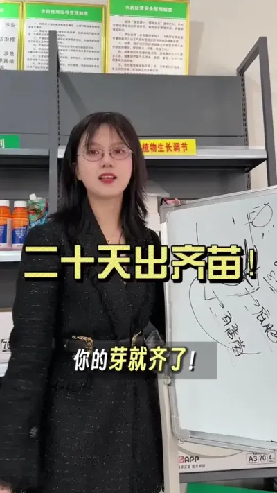 到现在还有没出苗的？苗是出了就是大的大小的小？怎么办呢&hellip;&hellip;#新农人计划2025 #来抖音学农技 #生姜种植 #抖音助农扶农