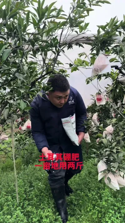 硼肥一亩地两斤，遍地撒开，花前撒施#好物推荐🔥 #颗粒硼 #三农 #硼肥的功效与作用