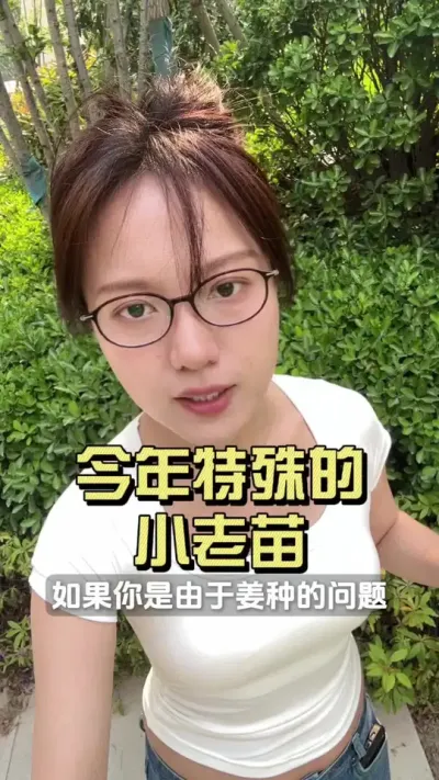 很多地里一地的老小苗，冲不冲的就是趴着不动，没有好办法的可以试试我这个办法怎么样#新农人计划2025 #乡村守护人 #大姜种植 #来抖音学农技