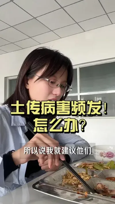 土传病害频发到底该怎么办？#新农人计划2024 #大姜种植 #乡村生活家 #来抖音学农技