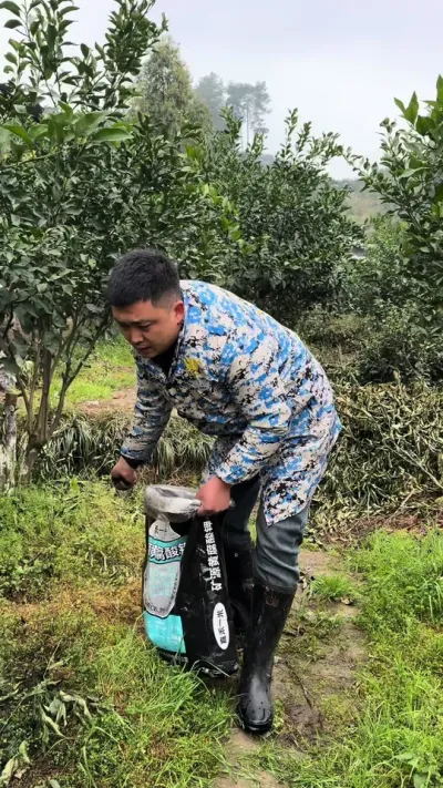 #三农 #上热门🔥 #好物推荐🔥 新疆矿源黄腐酸钾，生根促根，改善土壤结构，调酸碱