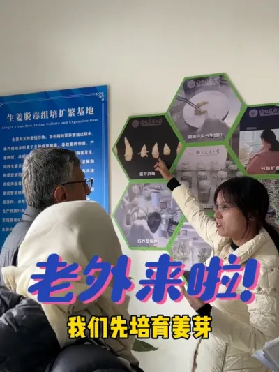 我想做的就是让姜农赚美元，好姜卖好价！ 让姜农获得真正的收益，这句话永远不会是空话！！如果我不做，谁来做？如果我不在乎，谁在乎？未来还很遥远，新农人永远雄起！！