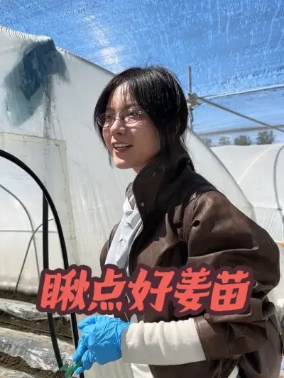 今年河北石家庄、唐山尤其是本地姜种出来的小破苗，特别特别特别普遍。天天给大家看前期不爱起身的小老苗，今天给大家看看正常的姜苗，次次长的好姜种好苗应该什么样。#新农人计划2025 #乡村英才计划 #乡村