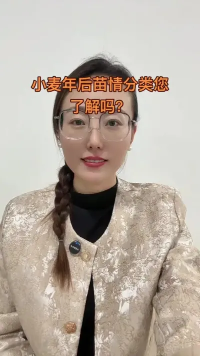 年后小麦田分类怎么分 年后了解苗情分类很重要，不同的苗情要有不同的管理方案中，这样才能管好，种地不易，种大田更不易，每一次的管理都要起到作用#三农 #抖音助农 #服务三农支持三农 #分享农业知识帮农民