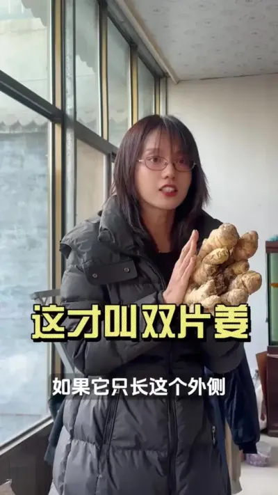 只有这种都长起来的，才能叫双片姜&hellip;&hellip;#新农人计划2025 #来抖音学农技 #乡村守护人 #大姜种植 #双片姜