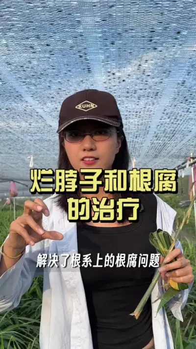 烂脖子和根腐，不仅发病表现不一样，处理方式也是不同，今天一个视频给你讲明白。#新农人计划2025 #乡村守护人 #大姜种植 #来抖音学农技
