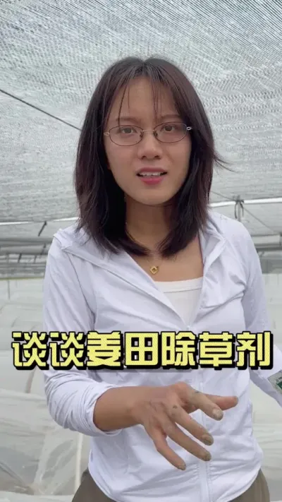 地里出现这个症状的，以为上了病害，冲药也不管用，就是除草剂药害导致的，大家在打除草剂之前，建议棚头先试验一下。#新农人计划2025 #乡村守护人 #大姜种植 #来抖音学农技